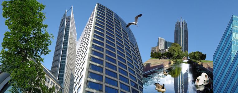banner for Asset Management by MM General